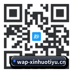 系统版 iOS 二维码